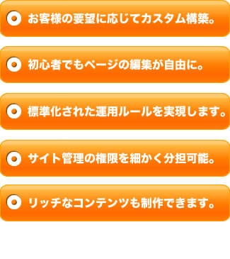 お客様の要望に応じてカスタム構築。初心者でもページの編集が自由に。標準化された運用ルールを実現します。サイト管理の権限を細かく分担可能。リッチなコンテンツも制作できます。